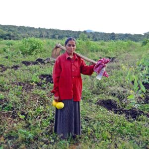 farm lady, hoe, carrying, agriculture, farming, pumpkin, vegetable, uttar kannada, karnataka, india, green vegetables, green farm, green lady, hoe, hoe, hoe, hoe, hoe, karnataka, karnataka, karnataka