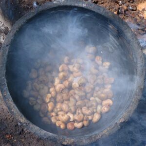 cashew, cashew nuts, roast, nature, plant, nut